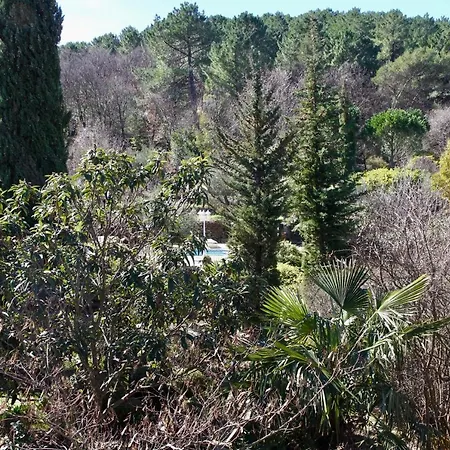 Bed & Breakfast Mas De La Filoselle 3*