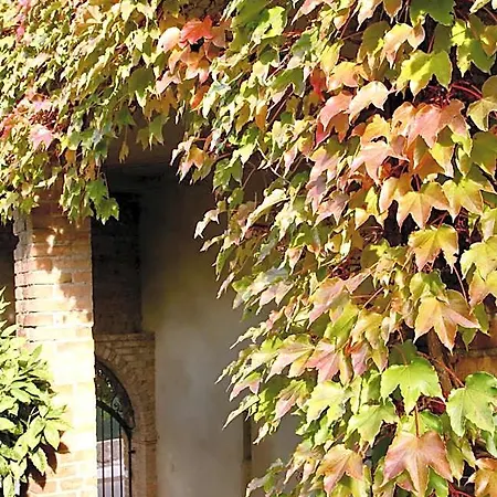 Bed & Breakfast Mas De La Filoselle 3*